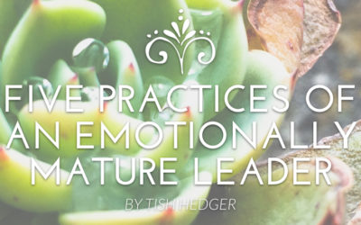 Five Practices of an Emotionally Mature Leader