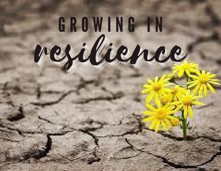 Growing in Resilience: The Importance of Off-Loading