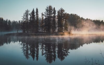 WHY INTENTIONAL REFLECTION IS CRUCIAL AND HOW TO DO IT